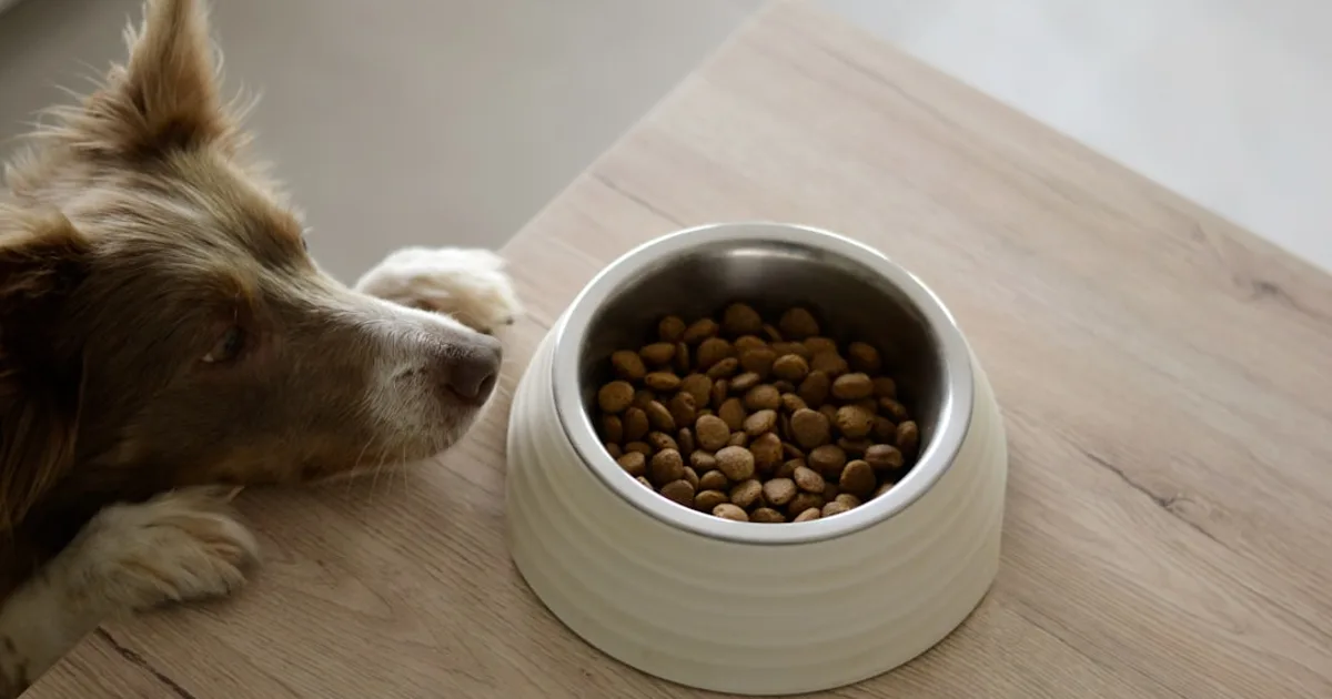 Pet food kibble and ingredient label — identifying haram ingredients in commercial pet food
