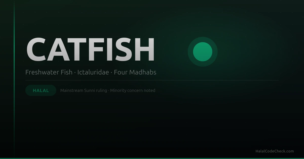 Fresh catfish — is catfish halal according to the four Sunni madhabs?