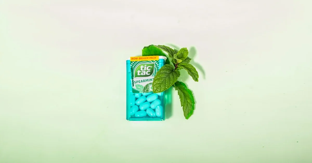 Sugar-free spearmint chewing gum pack