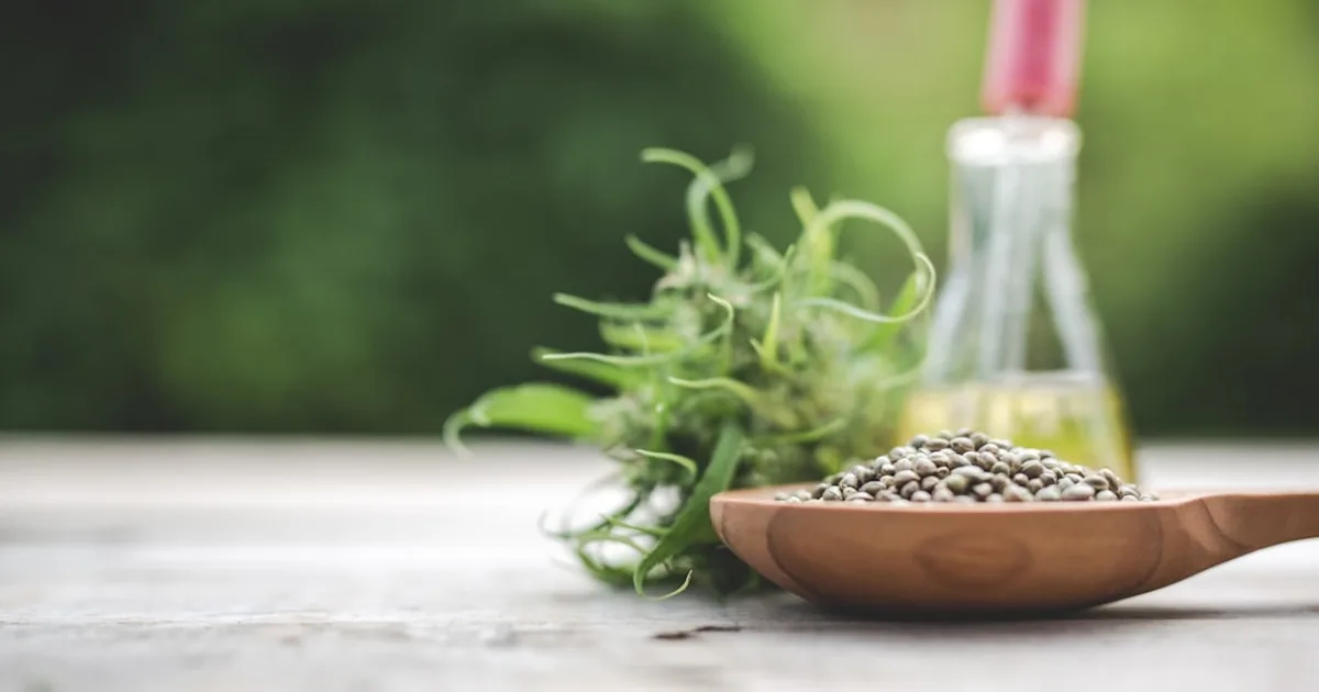 Hemp seeds and hemp seed oil on a wooden table — is hemp halal guide